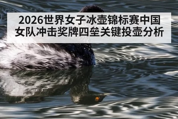 2026世界女子冰壶锦标赛中国女队冲击奖牌四垒关键投壶分析